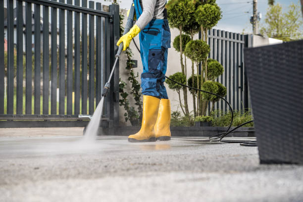 Best Pressure Washing Driveway  in USA